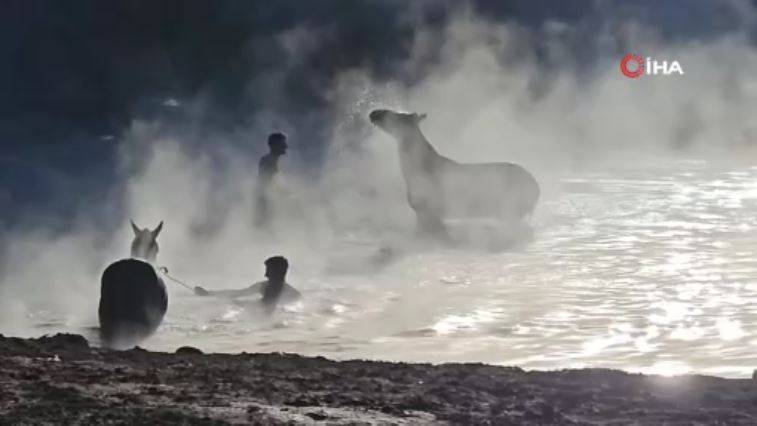 Burası Antartika değil Bitlis! Eksi 15 derecede atlarla kaplıca keyfi 4